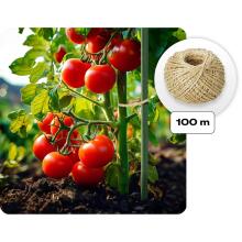 Туннельная теплица для сада 3 x 2 м (6 м2) Plonos