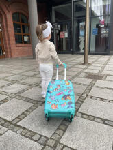 Paw Patrol Suitcase  Art.BC-PP-009  Čemodans ar riteņiem