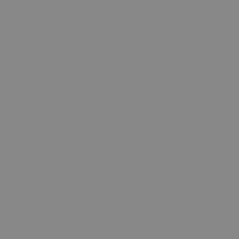Baby stroller Carrello Bravo plus CRL-5515 Forest Grey