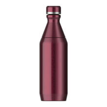 Thermos The All Day Slim Bottle 0.35L glossy dark red