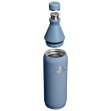 Thermos The All Day Slim Bottle 0.59L glossy blue-violet