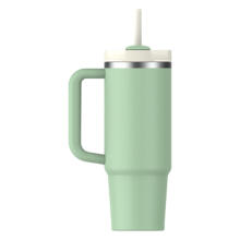 Thermo mug with straw The Quencher H2.O FlowState Tumbler 0.89L in pistachio color