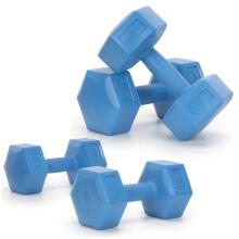 Dumbbells 2 x 2.5 kg ACT0160