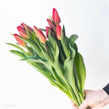Fresh La Petit Fluer Art. LPT-TY9 Fresh Yellow Tulips Bouquet – 21 pcs (delivery next day to Pērnavas 5)