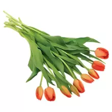 Fresh La Petit Fluer Art. LPT-TY9 Fresh Yellow Tulips Bouquet – 21 pcs (delivery next day to Pērnavas 5)