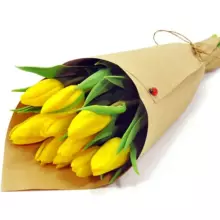 Fresh La Petit Fluer Art. LPT-TR51 Fresh Red Tulips Bouquet – 21 pcs (delivery next day to Pērnavas 5)