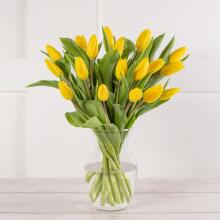 Fresh La Petit Fluer Art. LPT-TR51 Fresh Red Tulips Bouquet – 21 pcs (delivery next day to Pērnavas 5) with Bear 100cm
