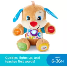Fisher Price Laugh and Learn Ukrainian Learning Puppy Art. FPN77 Learned Interactive Puppy/Doggy (Ukrainian)