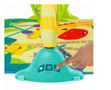 Lights&Giggles Gym ****