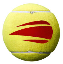 WILSON MINI JUMBO BALL 5’’
