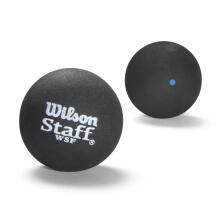 WILSON squash balls STAFF Pack of 3 - blue dot