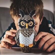 Alexander Origami 3D Art.283281 Kонструктор оригами 3D - Сова