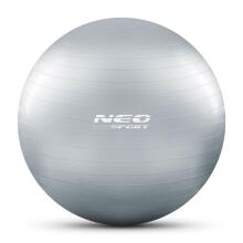 75 cm Exercise Ball NS-952 Silver