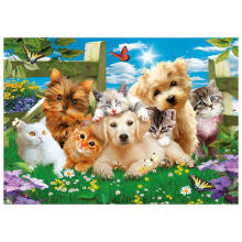 Daimond Mosaic - 47388 - PUPPIES  & KITTEN - size 30x40 cm