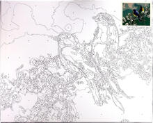 Painting by the numbers - 50593 - BIRDS on a BRANCH - size 40x50 cm