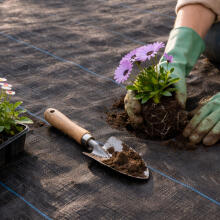 Black UV-resistant weed control fabric 90 g/m², 1.1 × 50 m, pins, MultiGarden