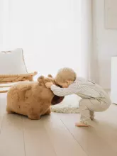 Wild&Soft Soft Bouncy Art.287135 Capybara Детскии прыгунки