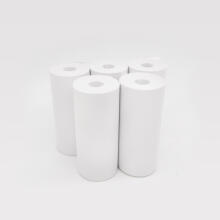 Easypix Thermal Printing Paper Rolls white for InstantFUN 5pcs 55600