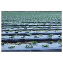 Garden film compostable BioAgri Garden 1.2x7m for 1&ndash;3 year old plants 35mqr. black