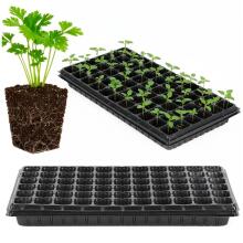 Multisection tray GA0221 52.5 x 31.5 cm