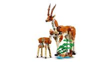 LEGO Creator Wild Safari Animals