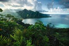 Ravensburger Puzzle 5000 pc Hawai 