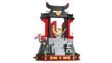 LEGO Ninjago Ninja Character Display 15th Anniversary