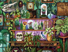 Ravensburger Puzzle 2000 pc Wizard's Shelf