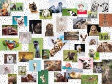 Ravensburger Puzzle 1500 pc Funny Animals Collage