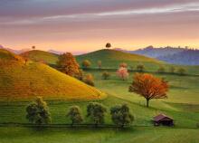 Dino Puzzle 3000 pc Fairytale Sunrise