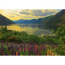 Ravensburger Puzzle 1000 pc Norway