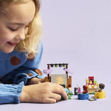 LEGO Friends Ночь дружбы