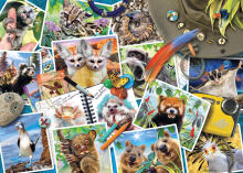 Пазл Ravensburger 1000 деталей Альбом путешественника