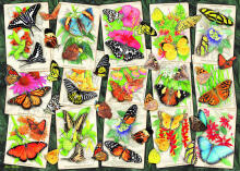 Ravensburger puzzle 1000 pieces Exotic butterflies