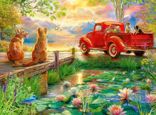 Ravensburger Puzzle 500 Pieces: Summer Love