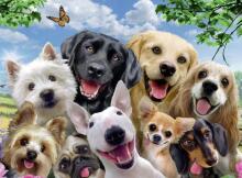 Ravensburger XXL Puzzle 300 pc Delighted Dogs 