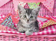 Ravensburger Puzzle 100 pc Cute Kitten