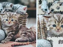 Tactic puzzle 1000 pc Cute Kittens