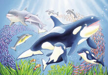Ravensburger Puzzle 2x24 pc Colourful Underwater World