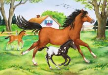 Ravensburger puzle 2x24 gabali pasaules zirgiem