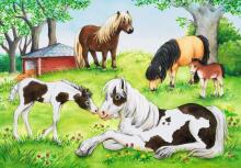 Ravensburger puzle 2x24 gabali pasaules zirgiem