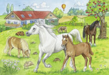 Ravensburger Puzzle 2x24 pc Horses