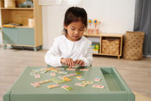 Eichhorn Domino Game