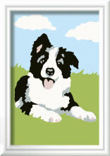Ravensburger Krāsošana pēc numuriem Border Collie