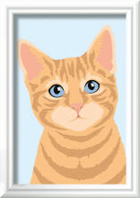 Ravensburger Paint by Numbers Orange Tabby