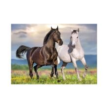 Dino Puzzle 500 pc Horses in Love