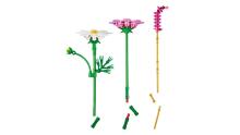 LEGO Botanicals Cosmos Flowers