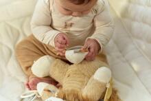 Little Dutch Activity Cuddle Lion Safari Friends GRS Art.8321