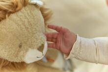 Little Dutch Activity Cuddle Lion Safari Friends GRS Art.8321