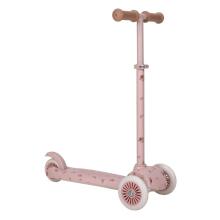 Little Dutch trīsriteņu skrejritenis Fairy Floral Pink Art.LD6085.PINK